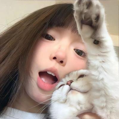 猫公主苏菲